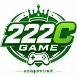 222C Game