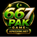 667Pak Game