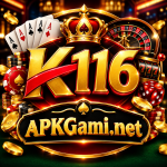 K116 Game
