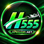 H555 Game